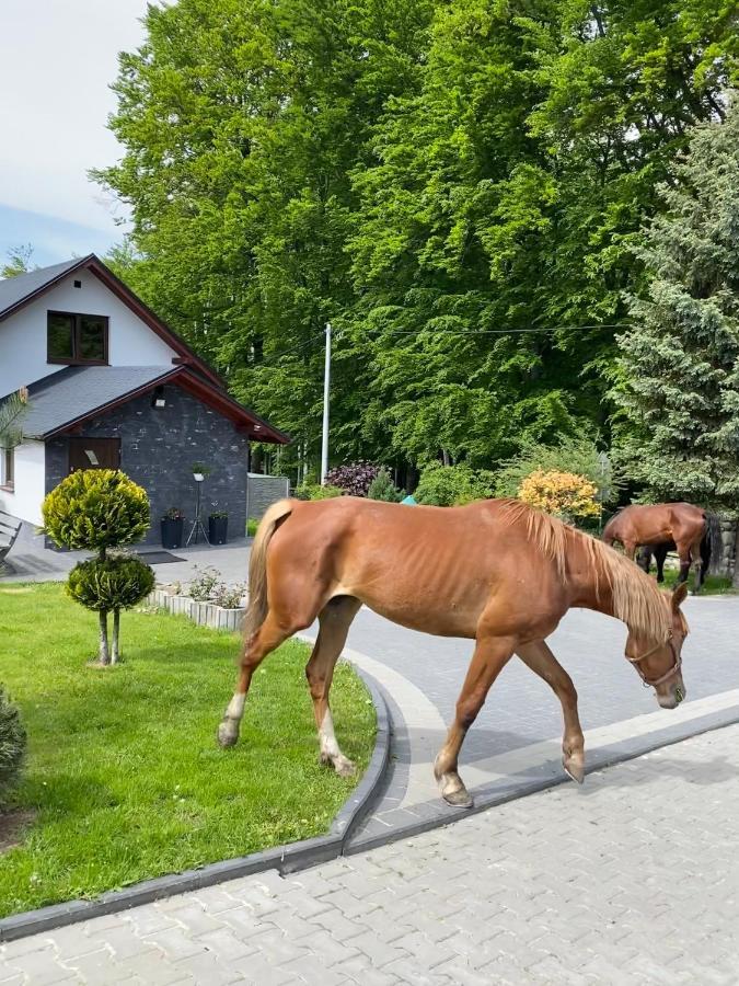 Agroturystyka ‚U Misia' Krzywoploty  エクステリア 写真